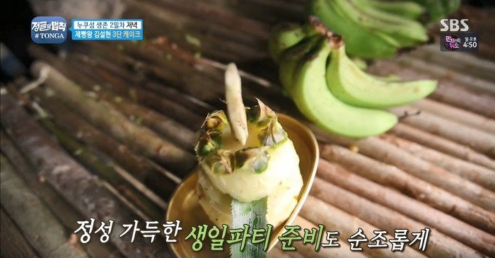정글에서 생일을 맞은 찬성을 위해 설현이 만든 파인애플 3단케이크.jpg | 인스티즈