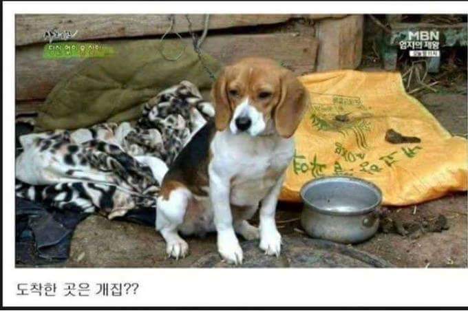 92세 할아버지를 깨우는 마법의 약 | 인스티즈