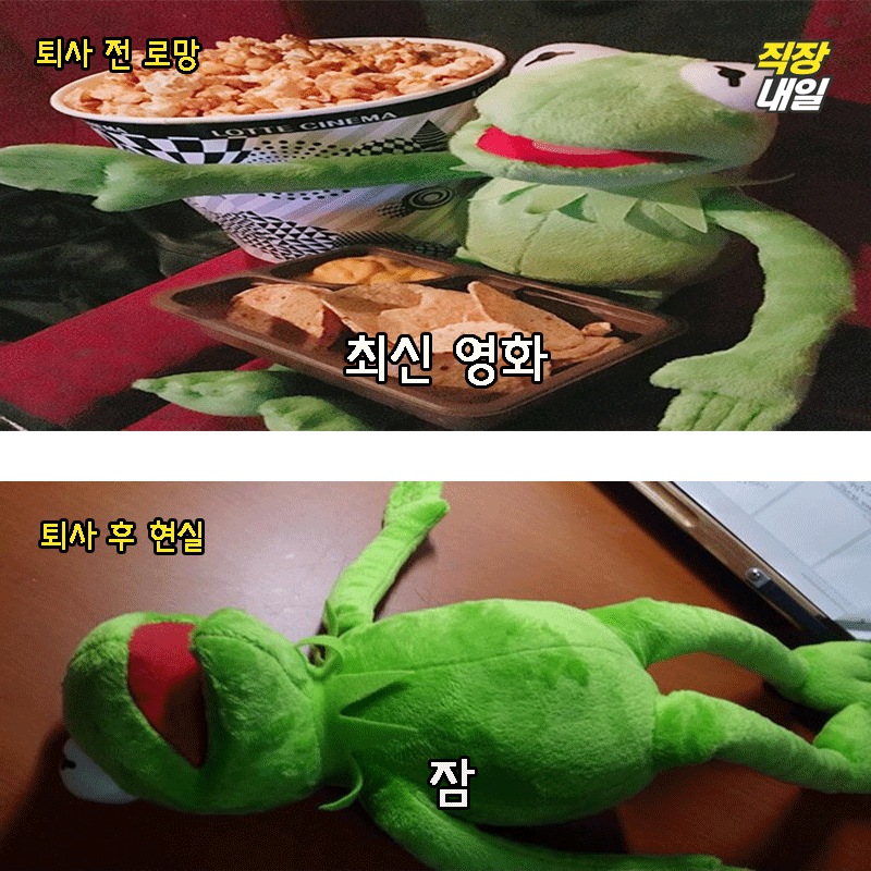 직장인 개구리가 퇴사를 해보았다(팩트폭행 주의) | 인스티즈