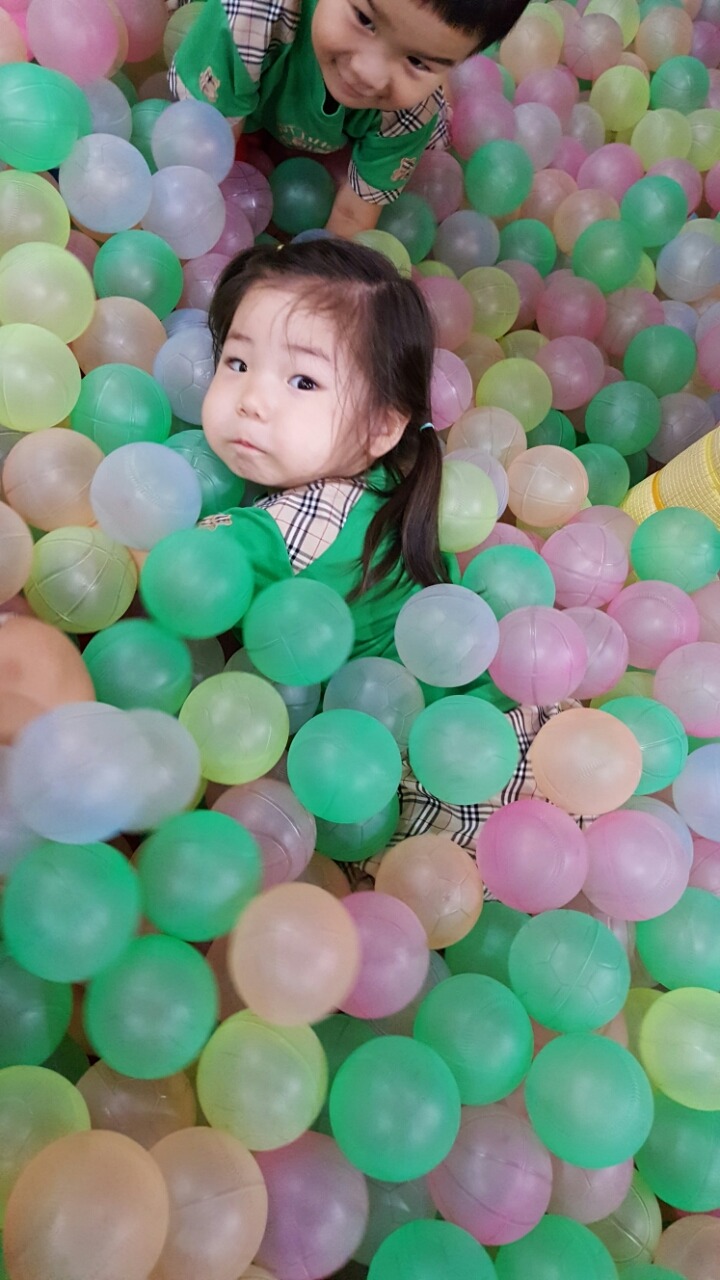 꽃피는 이미지