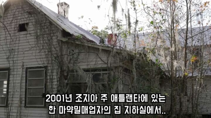 곰 사자 호랑이의 우정 | 인스티즈