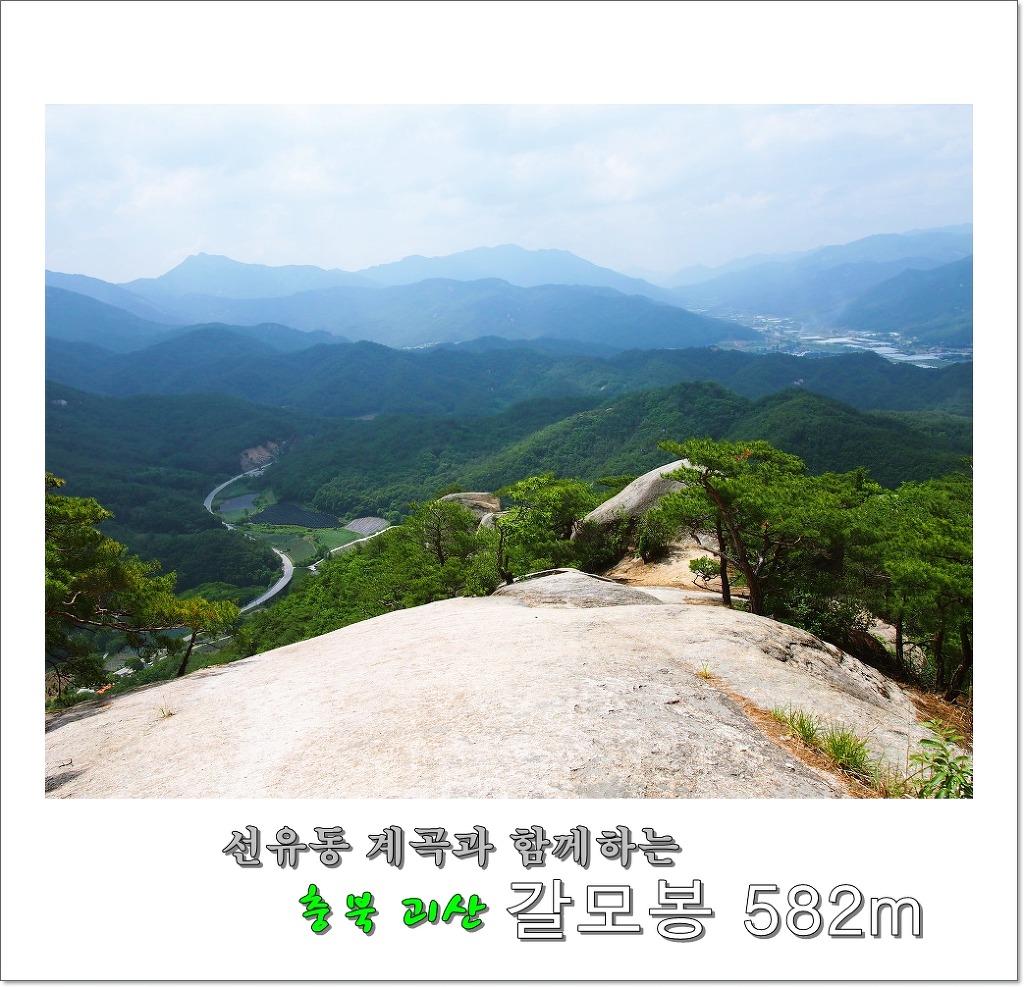 신전주유소 이미지