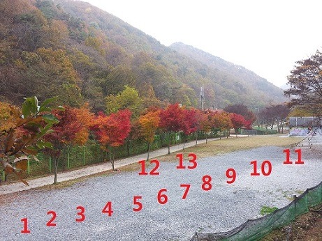 벌곡 산속 캠핑장 이미지
