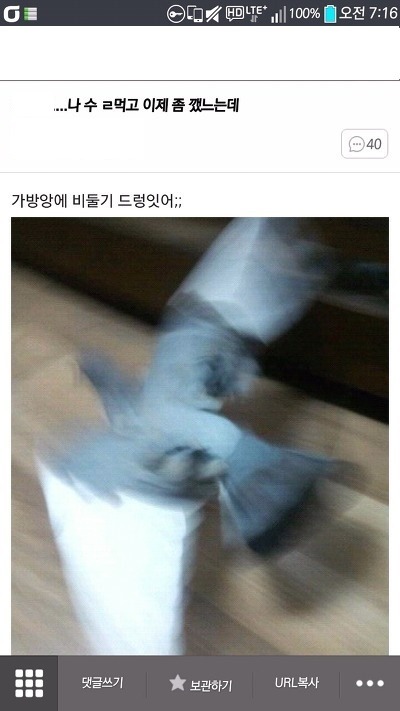 니가 마술사야?.jpg | 인스티즈