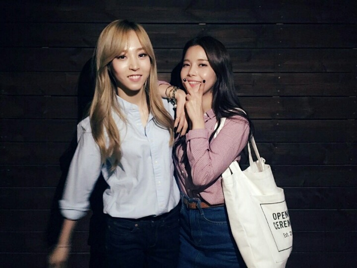 별콩 이미지