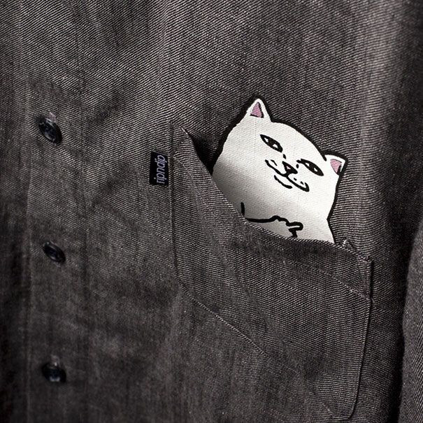 [ripndip] 유명 고양이 아이템 | 인스티즈