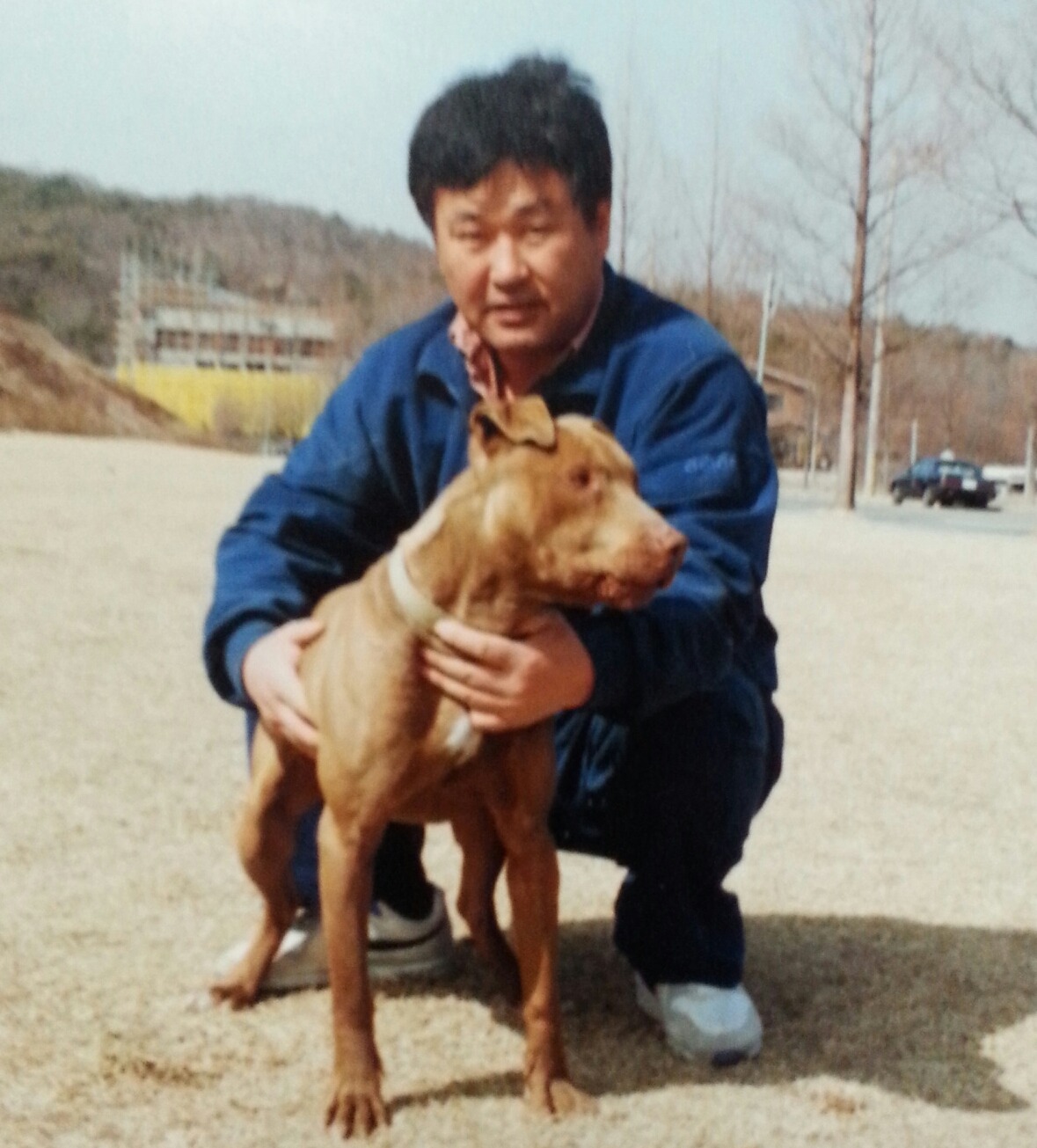 빅타 이미지
