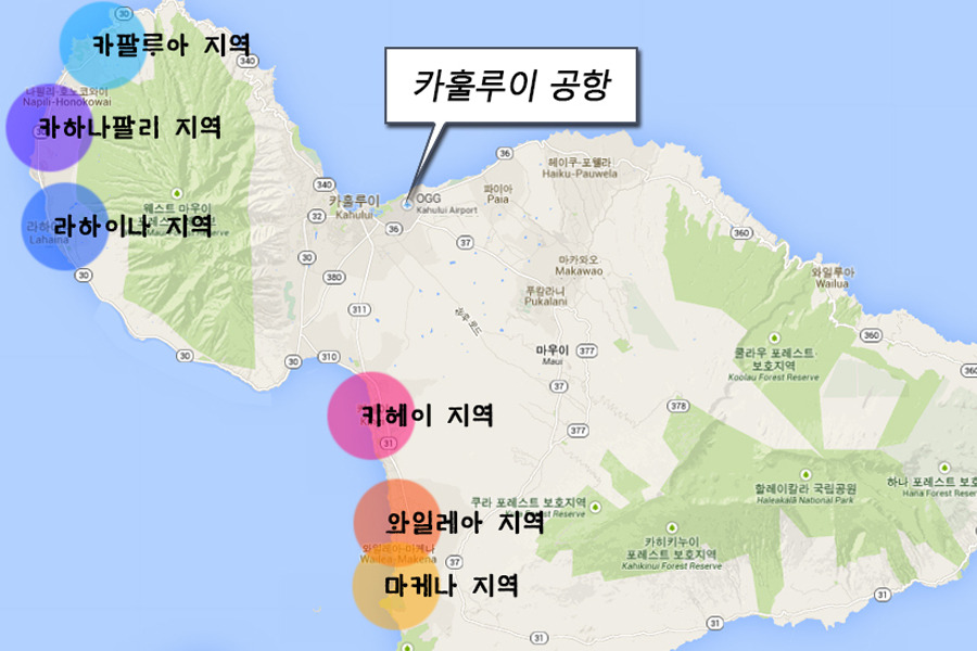 (주)가자하와이 이미지