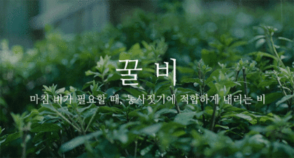 이쁜 우리말 비(雨) 이름 | 인스티즈