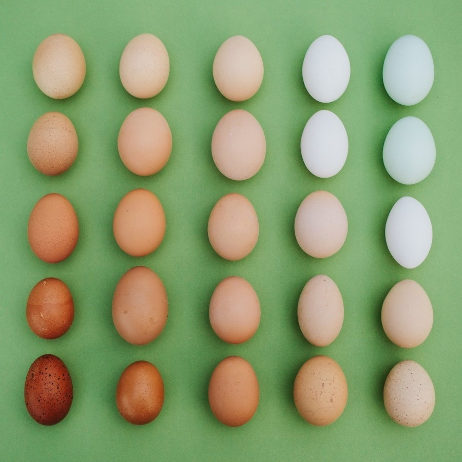 모니터에서 향기날 것 같은 사진들 . jpg | 인스티즈