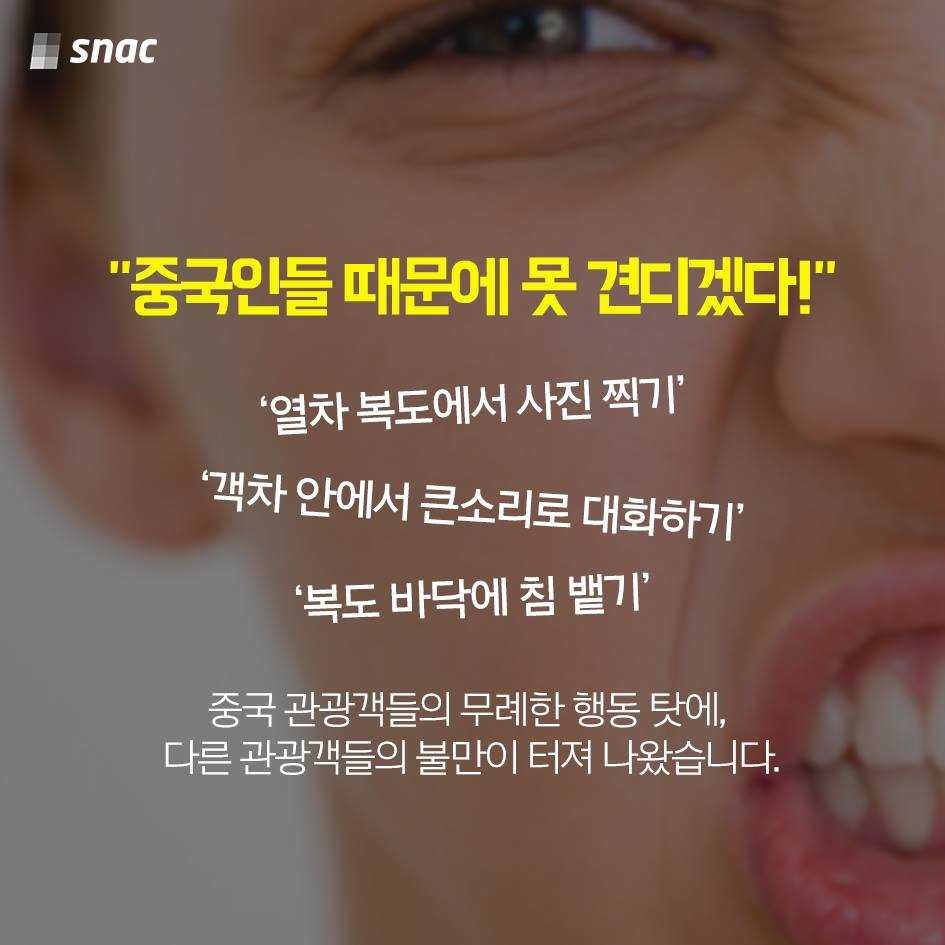 알프스의 아주 특별한 열차 | 인스티즈