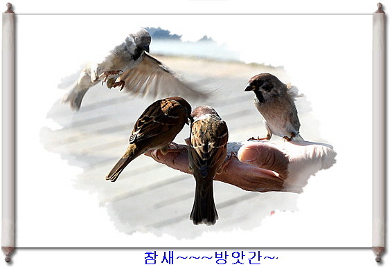 참새방앗간 이미지
