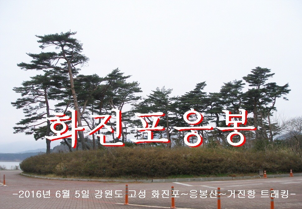 관동주유소 이미지