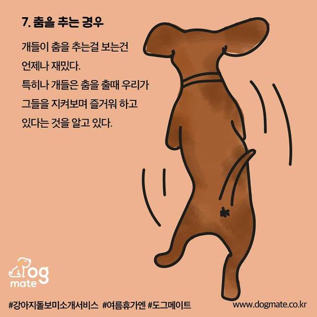 강아지가 이렇게하면 웃고있는 거라는데... | 인스티즈