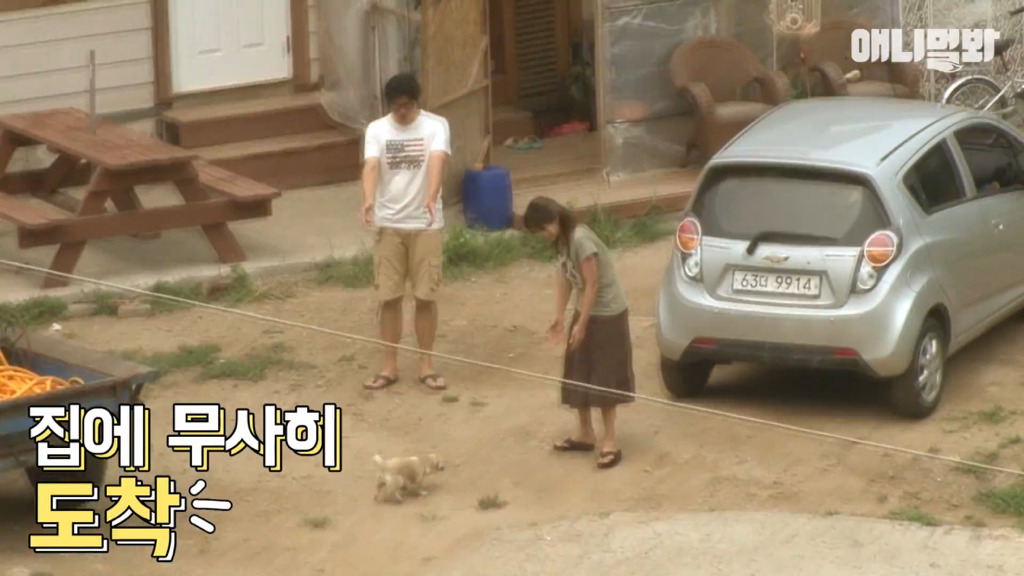 혼자 버스타고 지인 만나러 가는 강아지 상연이.jpg | 인스티즈