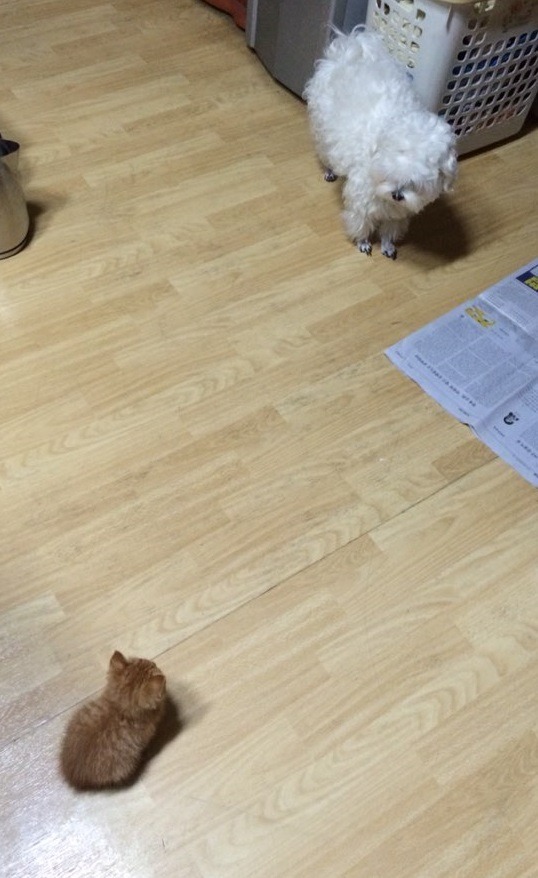 인도네시아 현지에서 일하는 친구가 보내준 자카르타 폭탄테러 사진.. (혐오주의) | 인스티즈