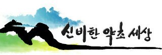 (주)아이들 이미지