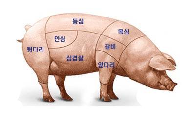 치악산포크 이미지