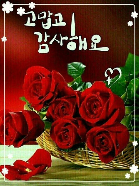 멋진하루 이미지