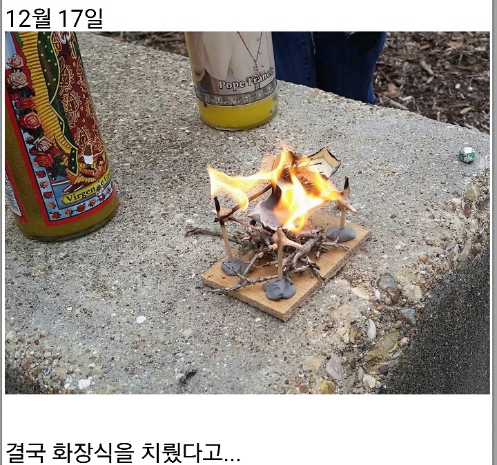 어느 대학교의 장례식... | 인스티즈