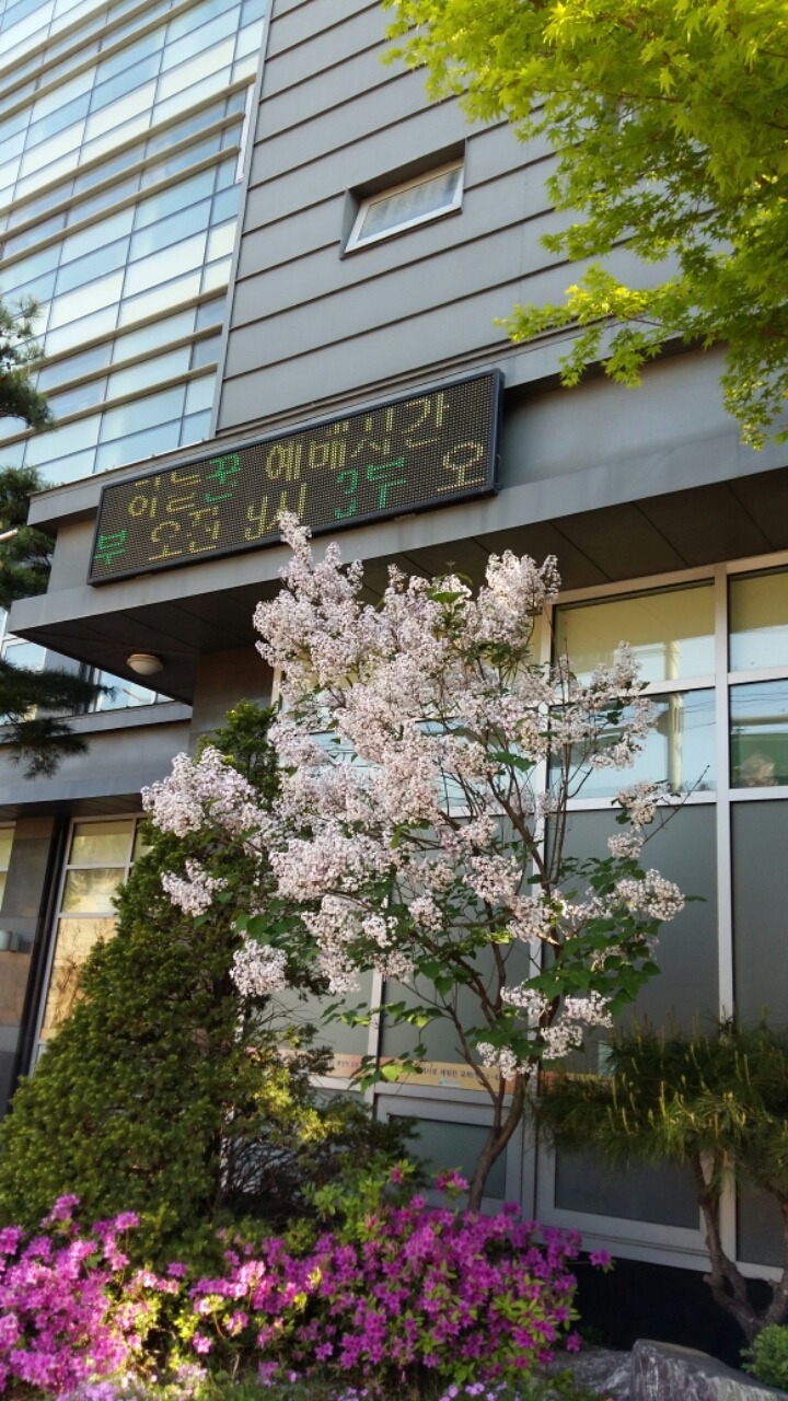 유현순 이미지