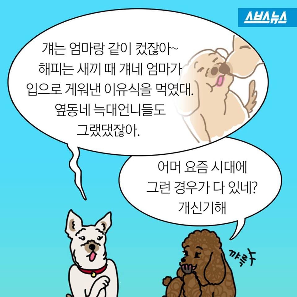 개들이 뽀뽀를 피하는 이유.jpg | 인스티즈