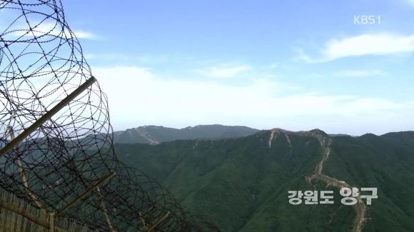 군대를 306이나 102로 가면안되는이유 | 인스티즈