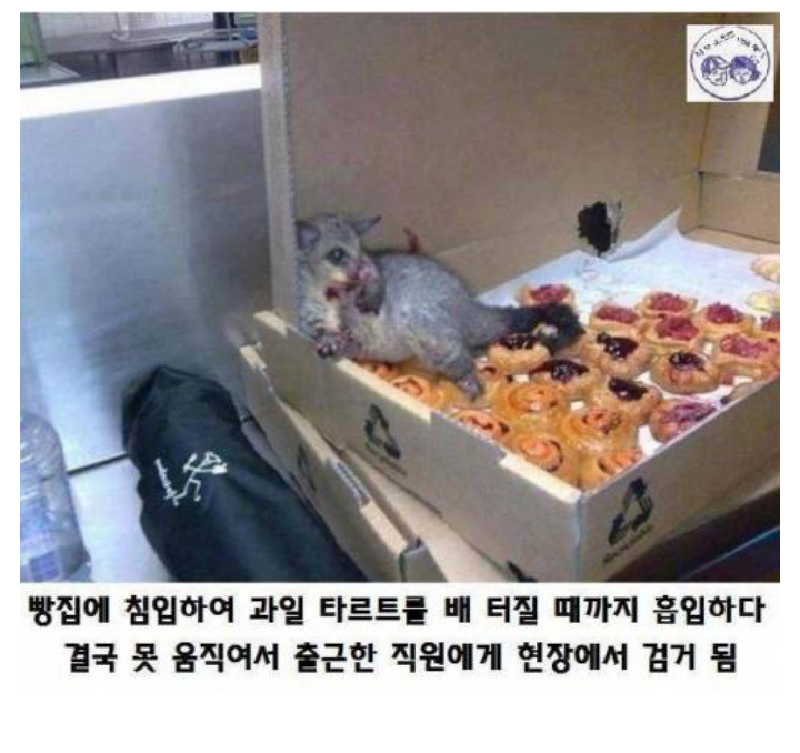 장발장 이미지