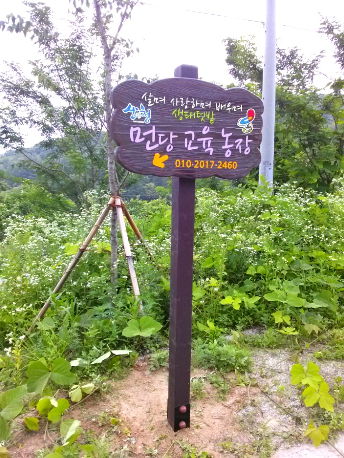 먼당농장 이미지