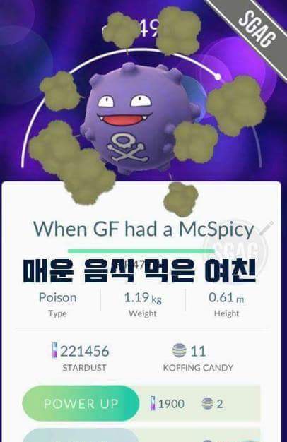 포켓몬고 작명센스 | 인스티즈