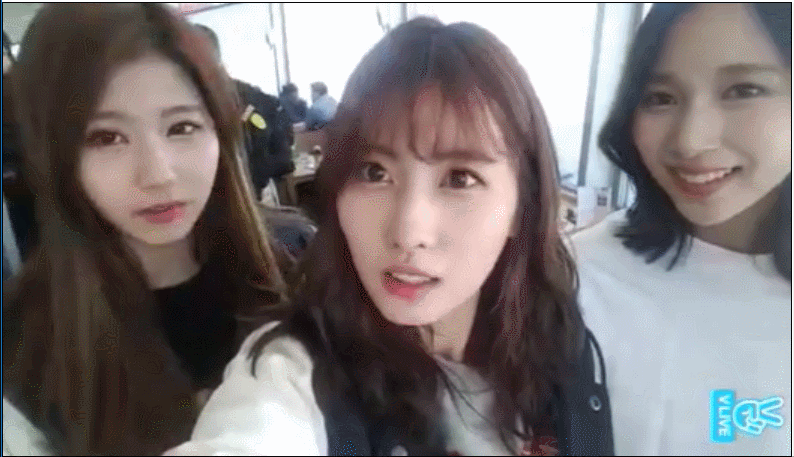모모와 사나 | 인스티즈