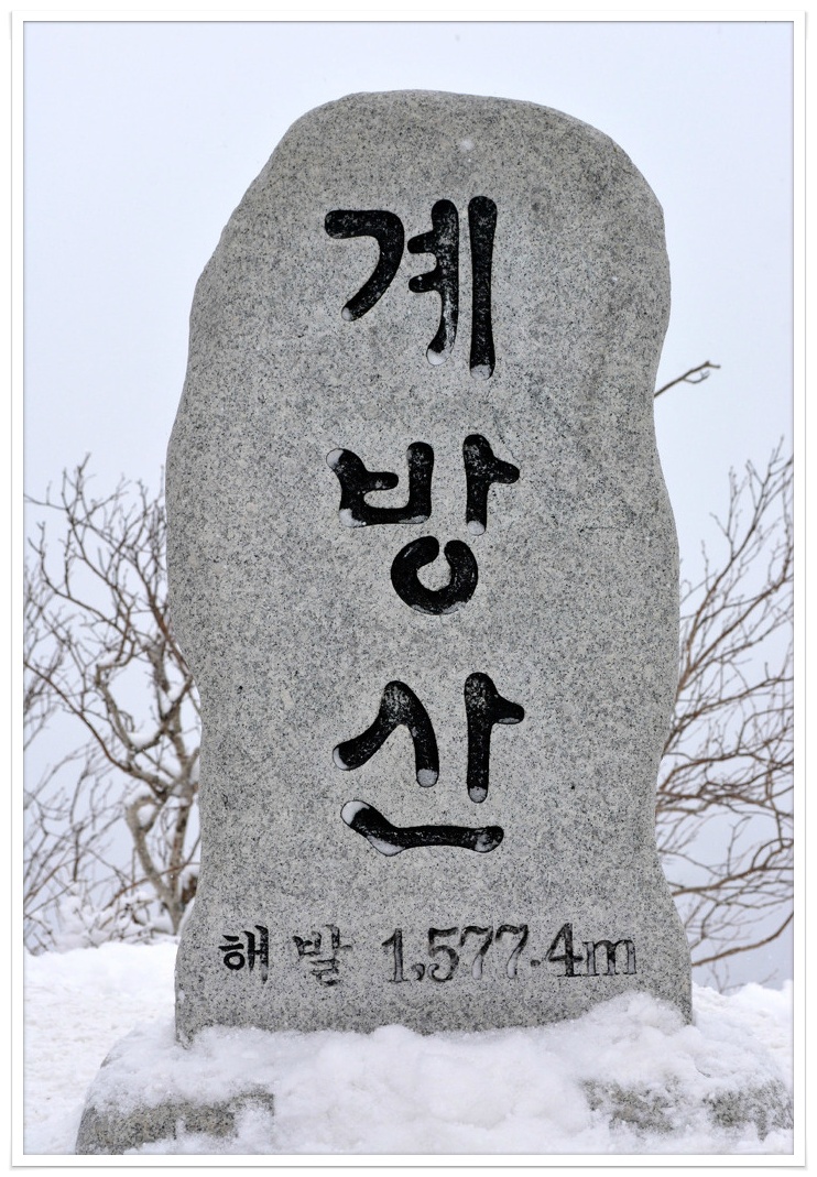 남대천식육점 이미지