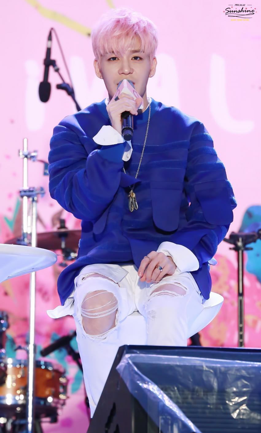 머리세상 이미지