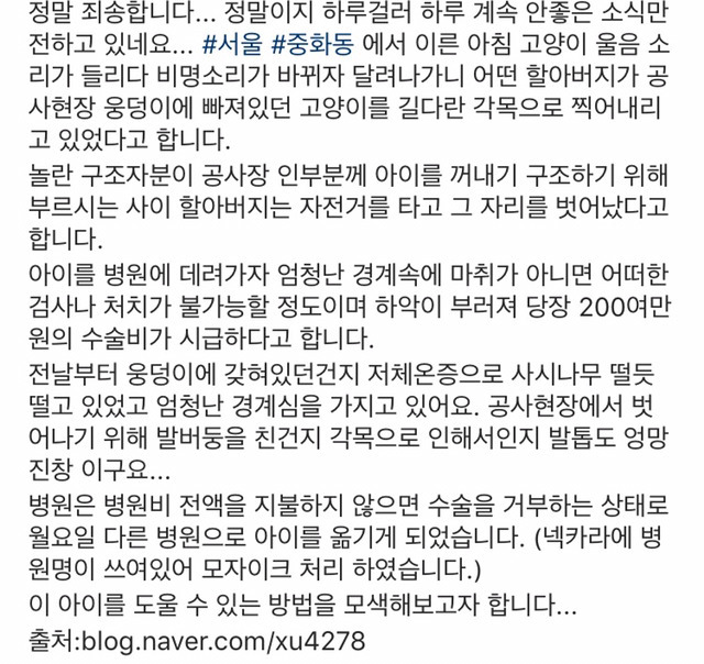 길고양이를 발로 차버리는 남자들 .gif (주의) | 인스티즈