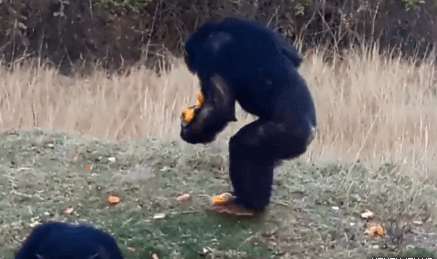 보급품 받아오는 이등병.gif | 인스티즈