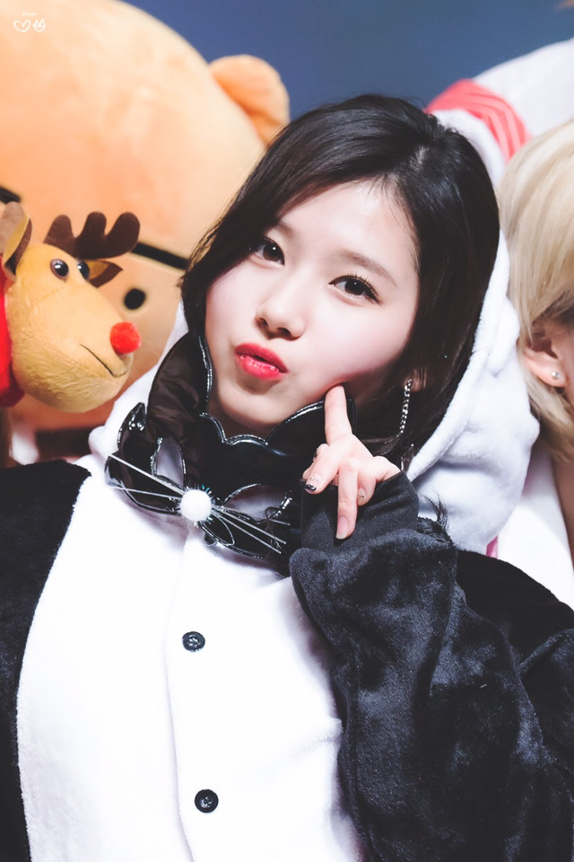 팬더사 이미지