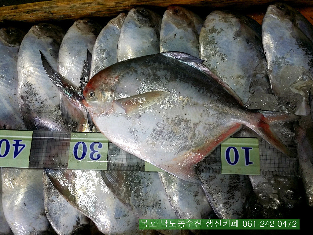 보교기획 이미지