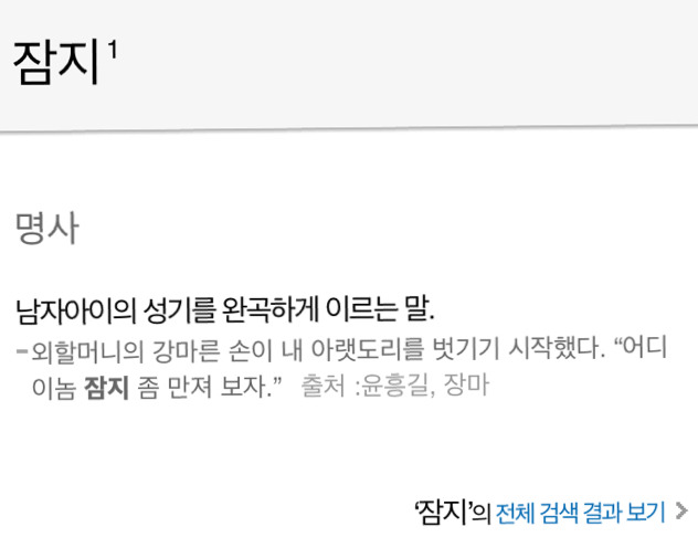 잠지의 뜻 | 인스티즈