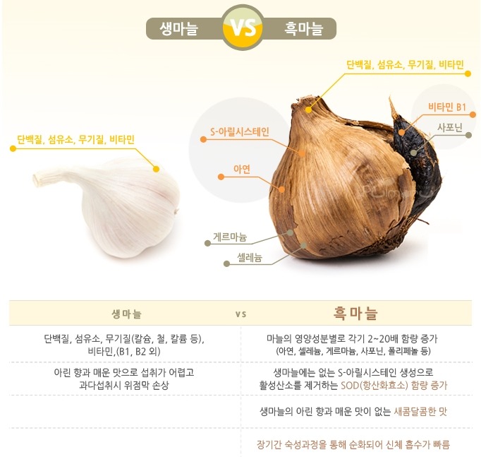 리꼬 이미지