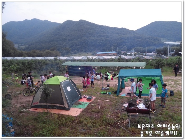 보은대추아리숲농원 이미지