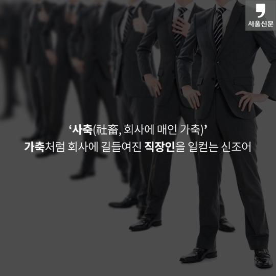 보람 이미지