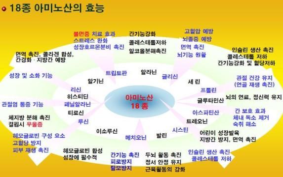 모링가 이미지