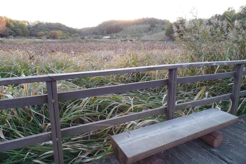 전주 오송제 호수에 비추인 동화 속 가을 풍경 사진을 전체 확대한 모습 감상 | 인스티즈