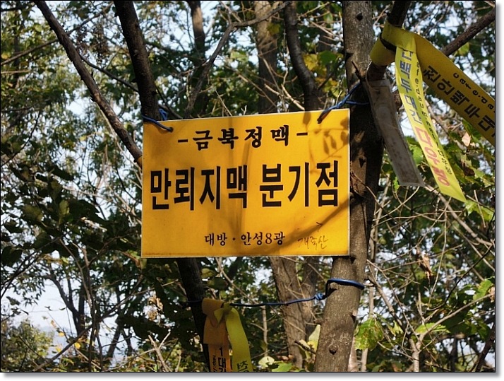 고개반상 이미지