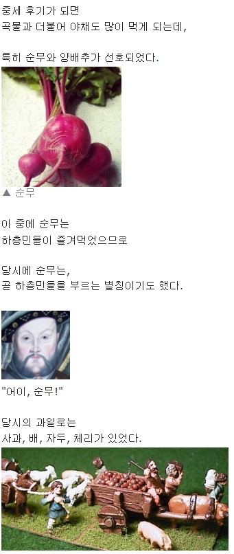 중세 유럽 하층민들은 어떻게 살았을까? | 인스티즈