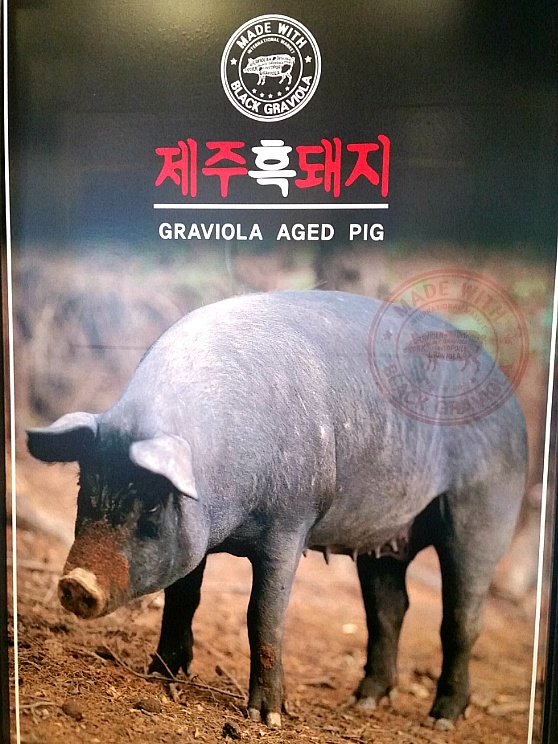 흑돼지 이미지