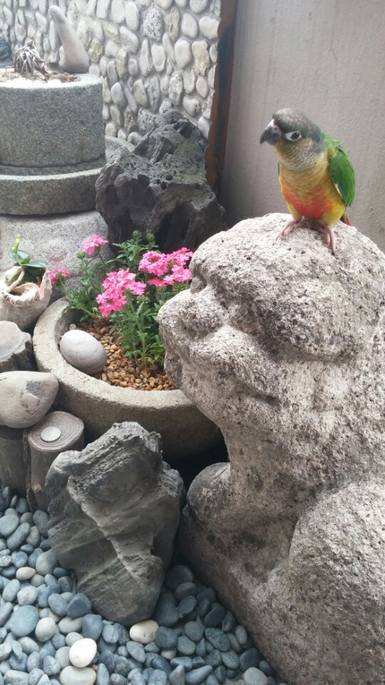 (주)본궁 이미지