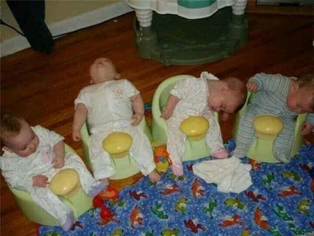 레몬트리 이미지