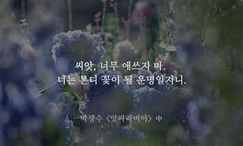 자존감이 낮은 당신에게 꼭 필요한 명언 13가지.gif | 인스티즈