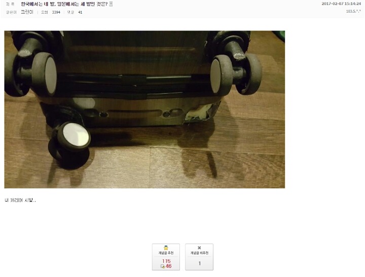 한국에서는 네발 일본에서는 세발인것은? | 인스티즈